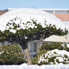 東部図書館