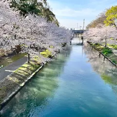 肥後橋