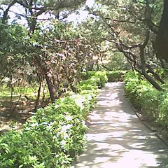 茅ヶ崎海岸しおさいの森