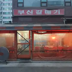 부산갈매기