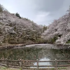 栃木市 かかしの里