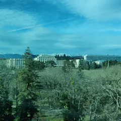 アリアナ公園