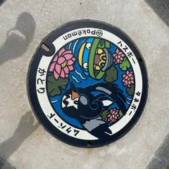 道の駅の駐車場（水の郷 さわら）