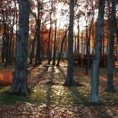 川沿公園