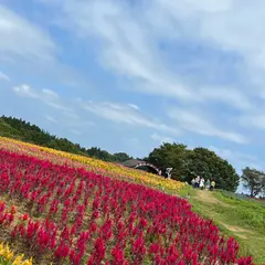 那須フラワーワールド
