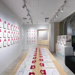 Sony Park Mini
