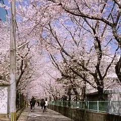 大分県立上野丘高等学校