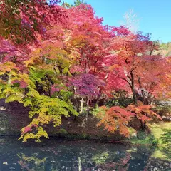 洞光寺