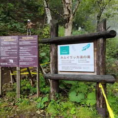 カムイワッカ橋