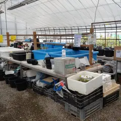 グリーンベール（山田サツキ研究所）