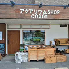 カラー インテリア グリーン