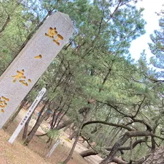 虹の松原