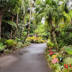 鹿児島県フラワーセンター