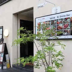 shin-ka 511