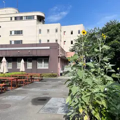 宿毛リゾート 椰子の湯