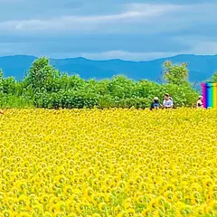 あわら夢ぐるま公園