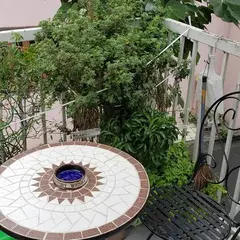 樹