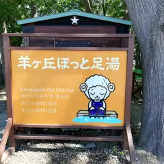 羊ヶ丘ほっと足湯
