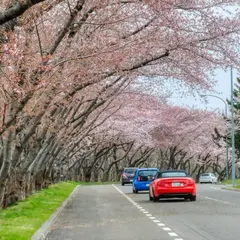 戸田記念墓地公園