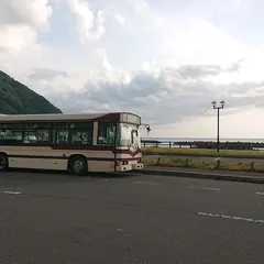 波の華