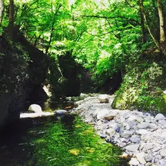 奈良子釣りセンター