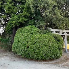 島ごと美術館『塩池』生口島