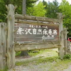 赤沢自然休養林