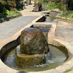 旧楠根川緑地（第４ブロック）