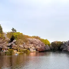 井の頭池