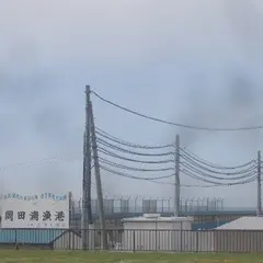 岡田浦漁港