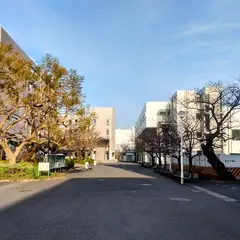 神奈川歯科大学