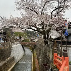 東山遊歩道