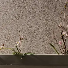 ＴＯＢＥオーベルジュリゾート