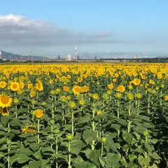 道の駅笠岡ベイファーム大型車駐車場
