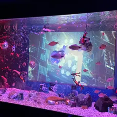 UWS アクアリウム アンダーウォータースペース