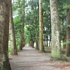 眼目山立山寺（通称さっかのてら）