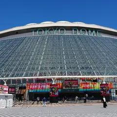 東京プラザホテル
