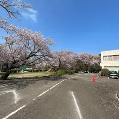 印旛中央公園