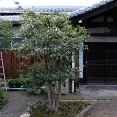 真宗佛光寺派 光薗院