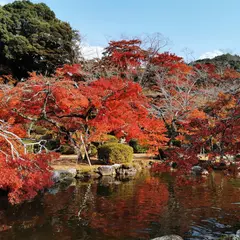 西渓公園