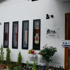 Bon