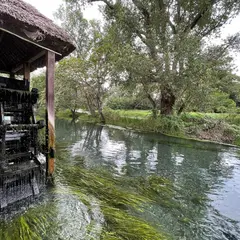 蓼川水車小屋