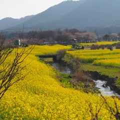 上堰潟公園