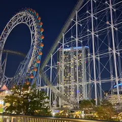 サンダードルフィン