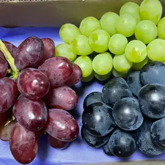 丸長ぶどう園直売所