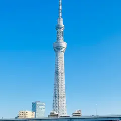 台東区立隅田公園 展望広場