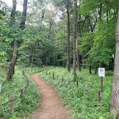 第1武蔵野ふれあいの森