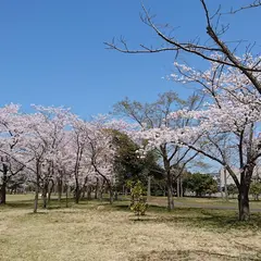 島見緑地