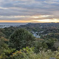 勝上山