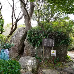 石割楠